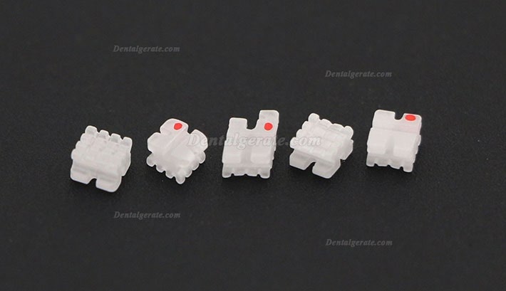 5 Packungen/20 St&uuml;cke Dental Kieferorthop&auml;dische Keramik Bracket St&auml;nder ROTH 022 3 Haken